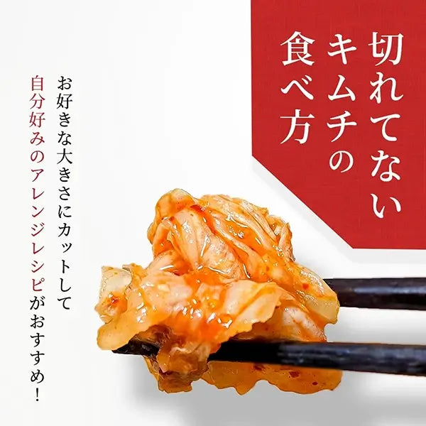 はくさいキムチ 切れていないキムチ 1kg | キムフーズ 信州韓国屋