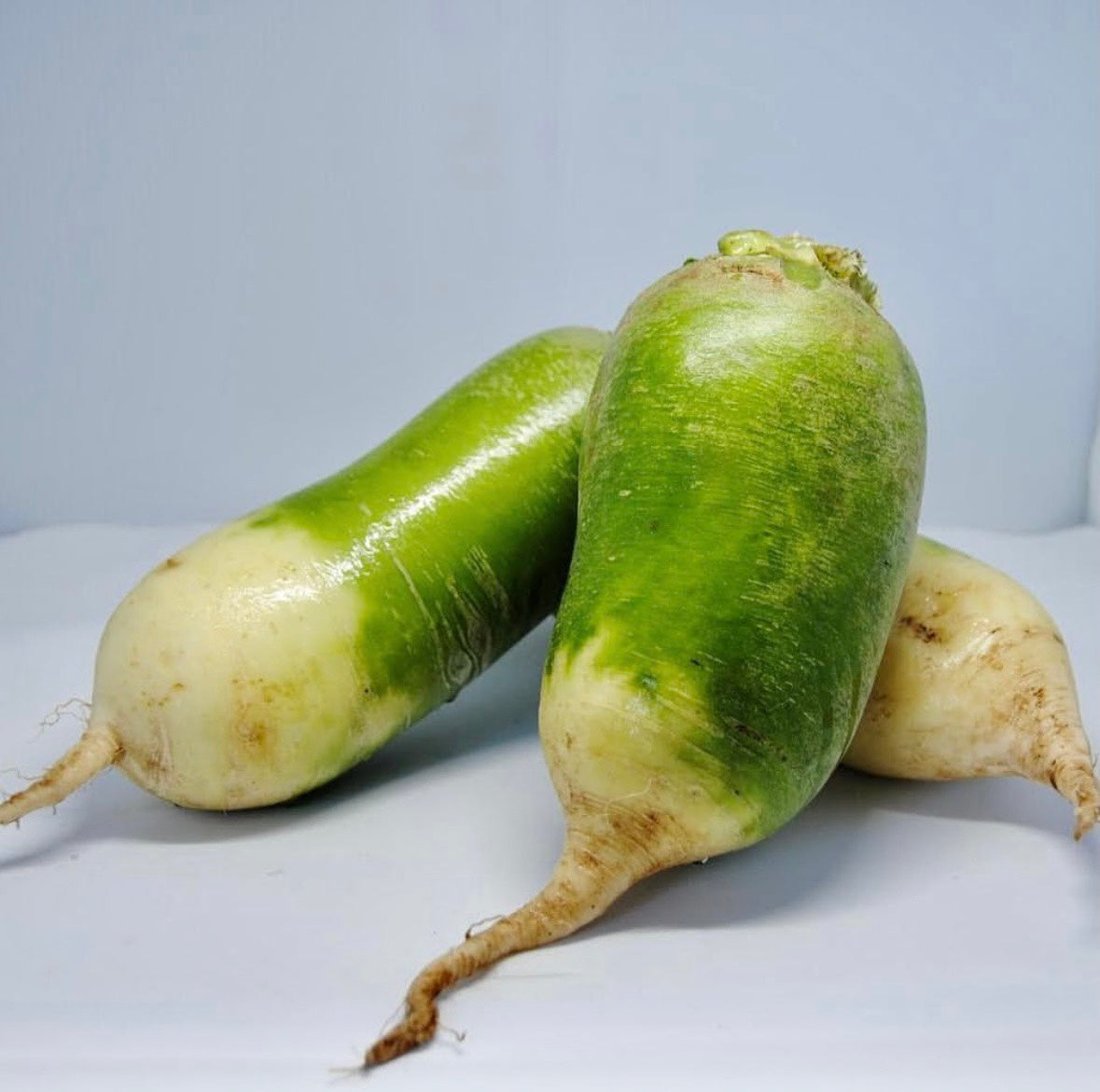 【期間限定】信州産のみどり大根のキムチ 700g | 信州韓国屋 キムフーズ