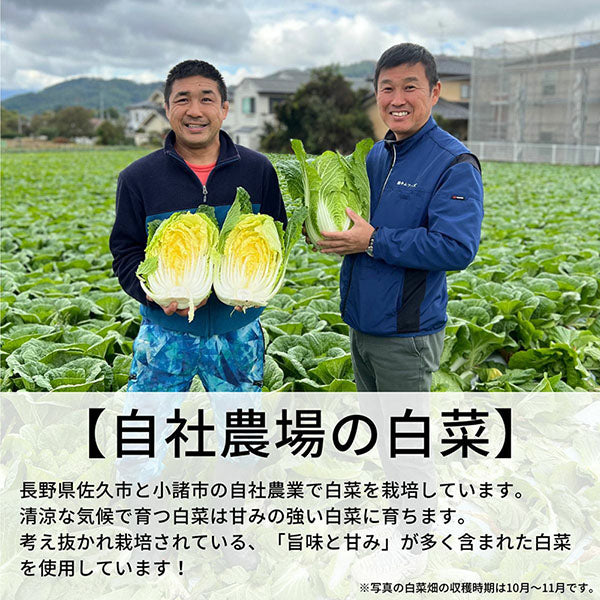 はくさいキムチ（刻み）中辛キムチ 500g 大辛キムチ 500g セット